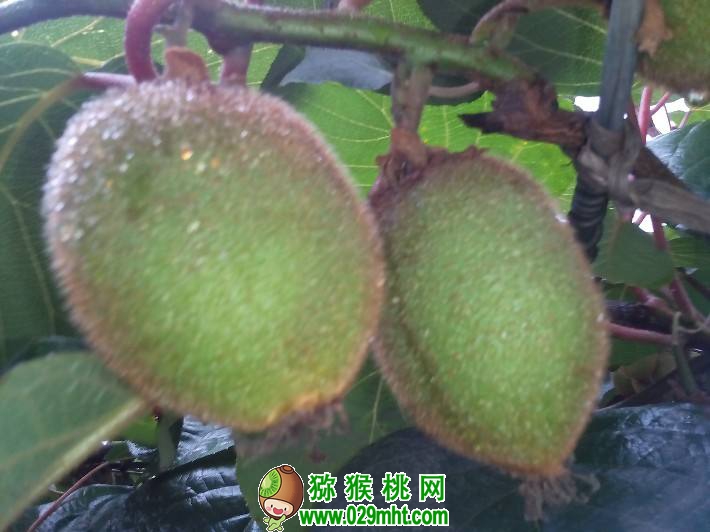 PG国际官方网站图片