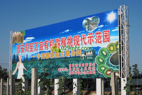 PG国际猕猴桃主题公园