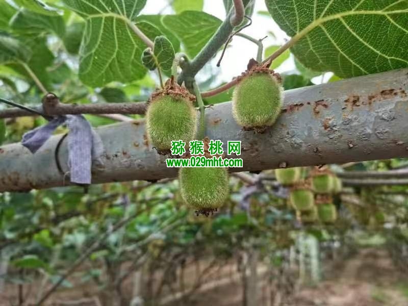 PG国际官方网站图片