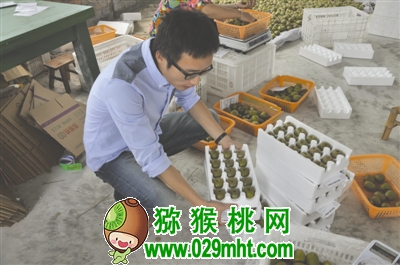 PG国际官方网站图片