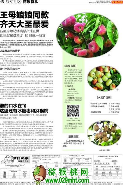 PG国际官方网站图片