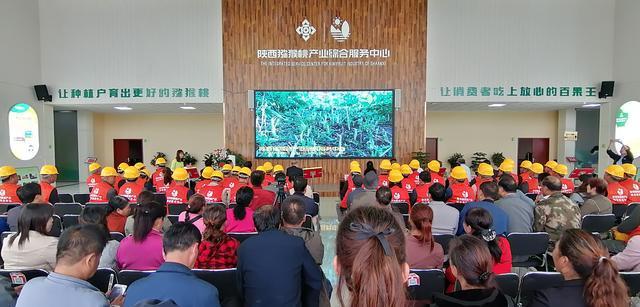 PG国际官方网站图片