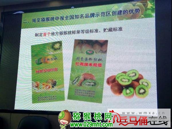 PG国际官方网站图片