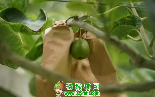 PG国际官方网站图片