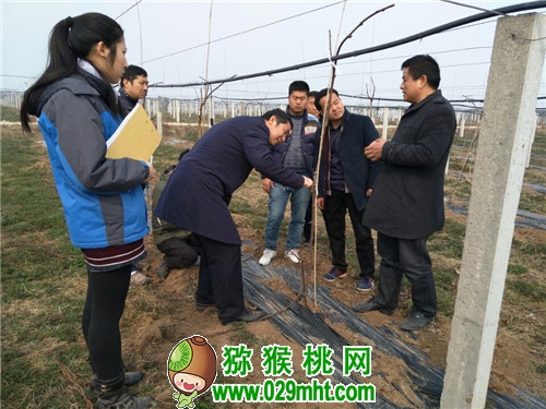 PG国际官方网站图片