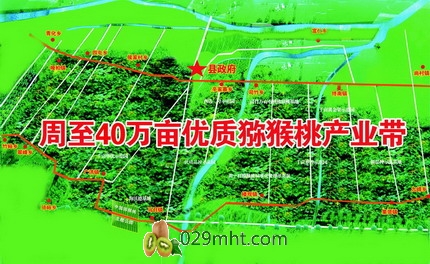 周至獼猴桃產業 一業興帶動百業興