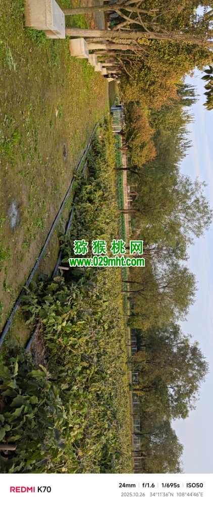 PG国际 3f18c