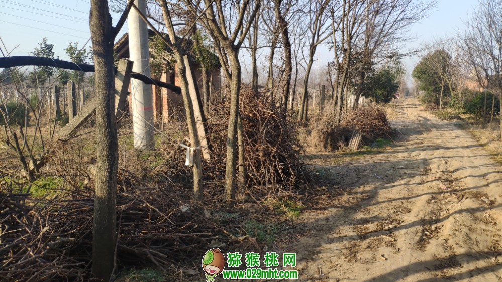 PG国际 92b30