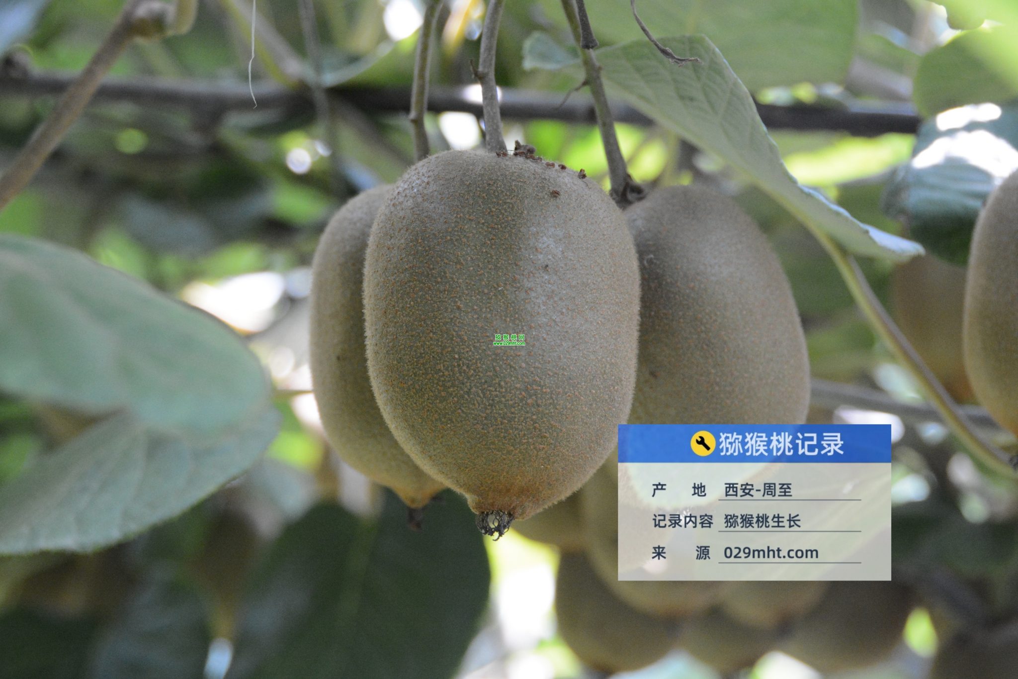 PG国际官方网站图片