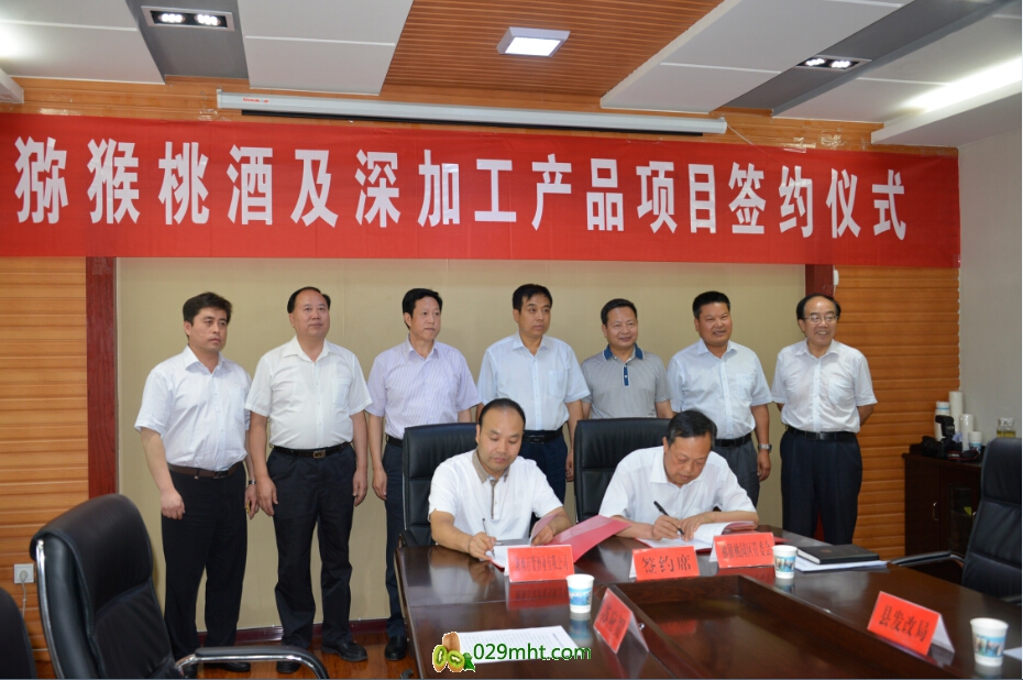 PG国际官方网站图片