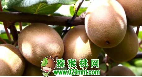 PG国际 4c46f