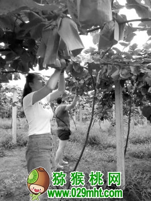 PG国际官方网站图片