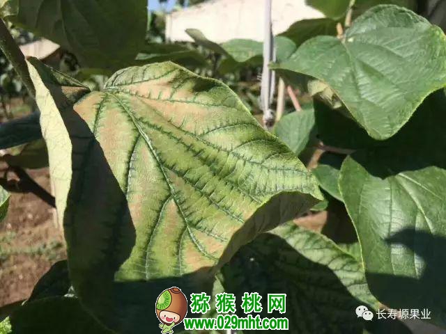 PG国际官方网站图片