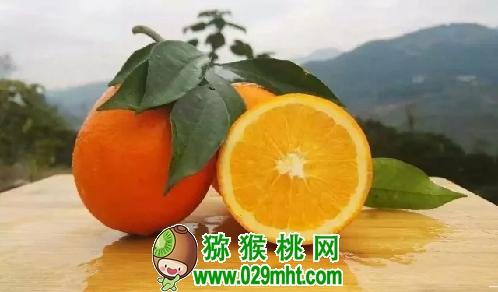 PG国际官方网站图片