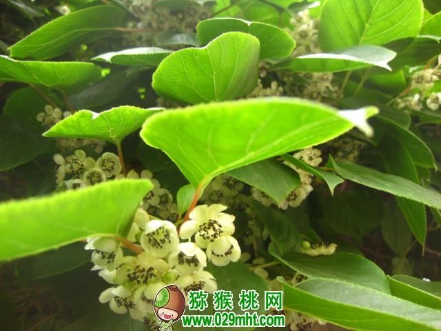 PG国际官方网站图片