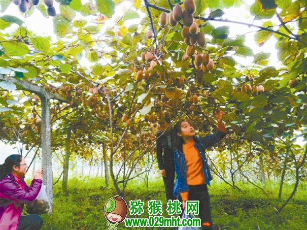 PG国际官方网站图片