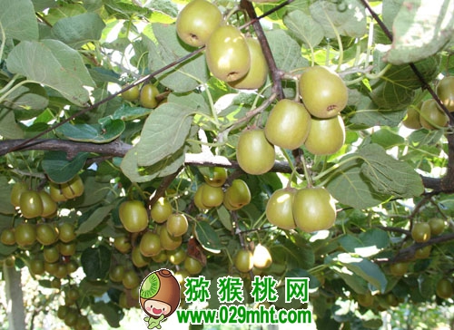 PG国际官方网站图片