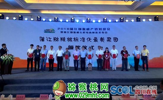 PG国际官方网站图片