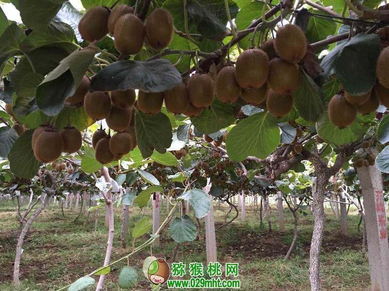 PG国际官方网站图片
