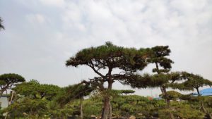 PG国际官方网站图片