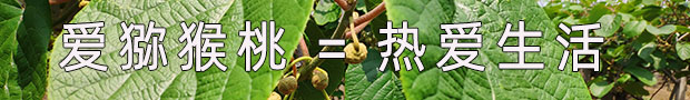PG国际 ef479