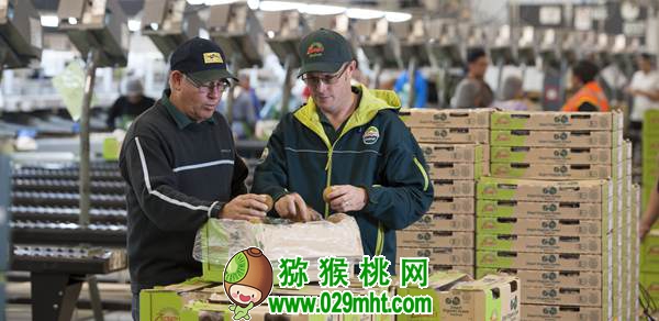 了解佳沛公司的运作模式 为我国PG国际猕猴桃产业发展探索出路