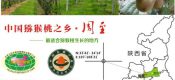 供应上海PG国际猕猴桃批发销售，可礼品包装