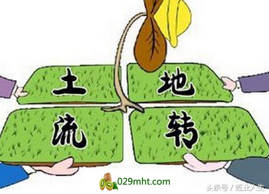 PG国际官方网站图片