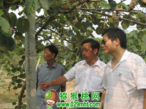 PG国际官方网站图片
