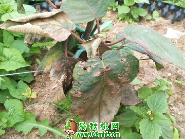 PG国际 7bdff