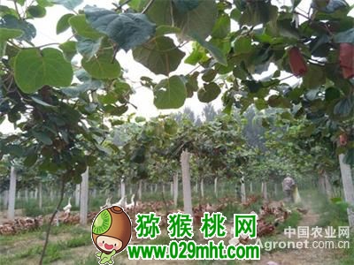 PG国际官方网站图片