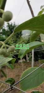 PG国际官方网站图片