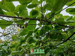 PG国际官方网站图片