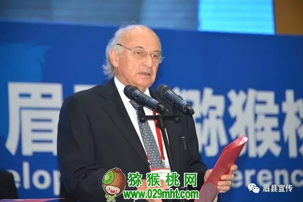 PG国际官方网站图片
