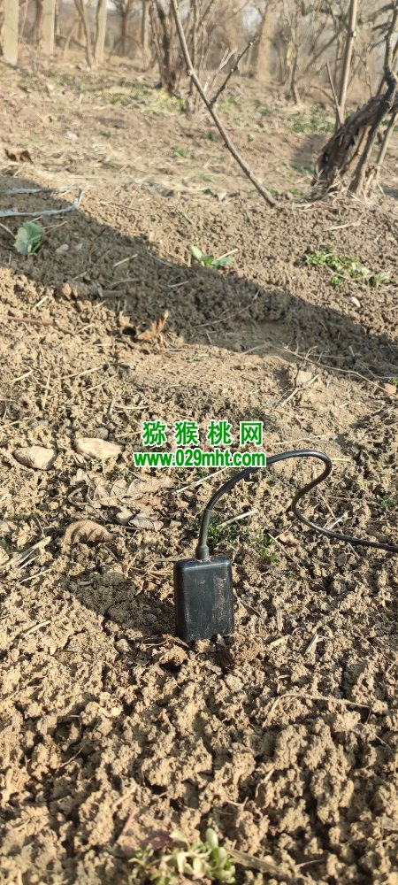 PG国际官方网站图片
