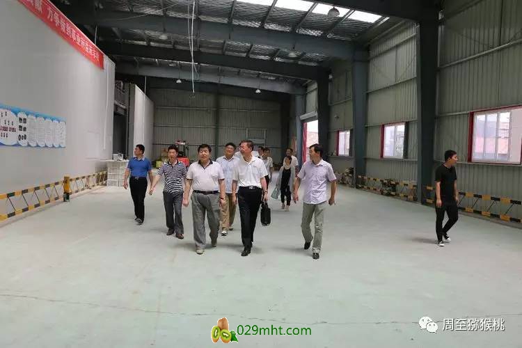 PG国际官方网站图片