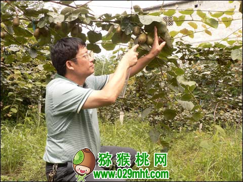 PG国际官方网站图片