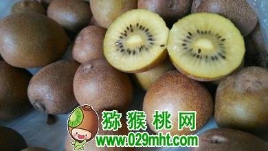 PG国际官方网站图片