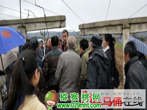 PG国际官方网站图片
