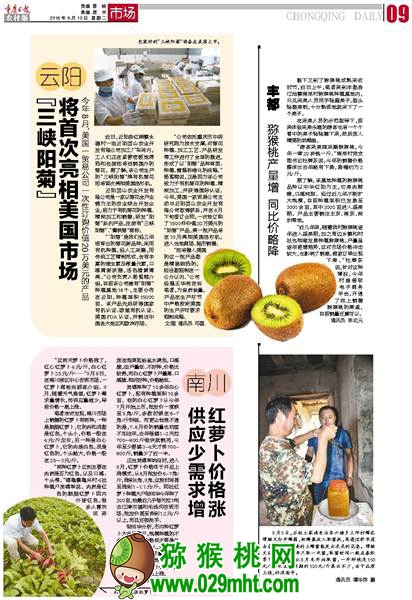 PG国际官方网站图片