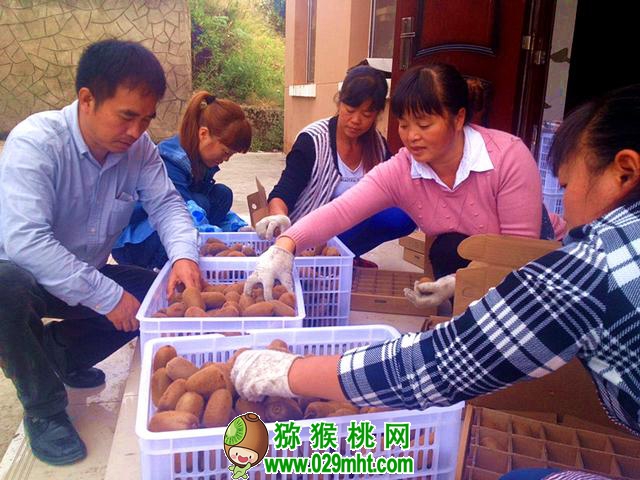 PG国际官方网站图片