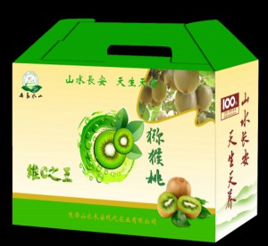 PG国际官方网站图片
