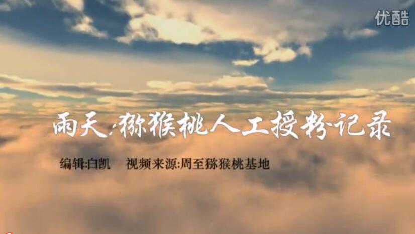 PG国际官方网站图片