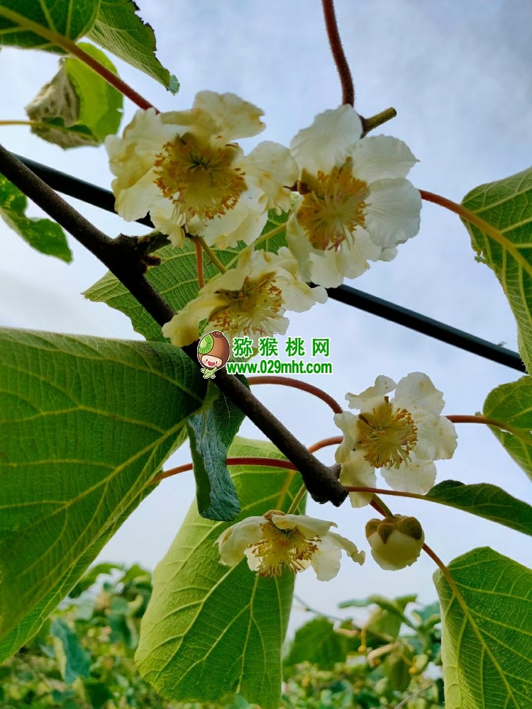 PG国际官方网站图片