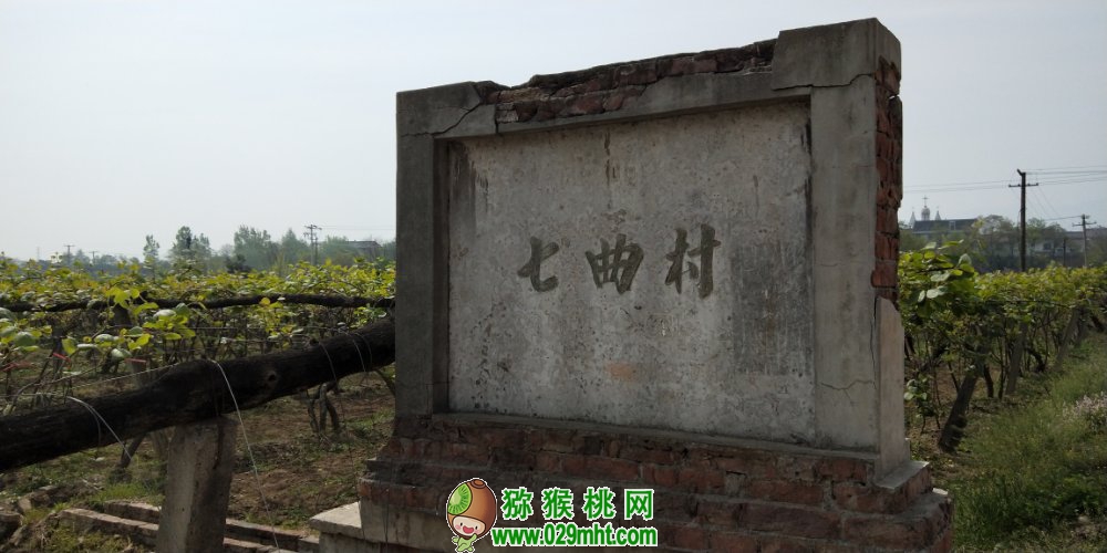 PG国际 2cd10
