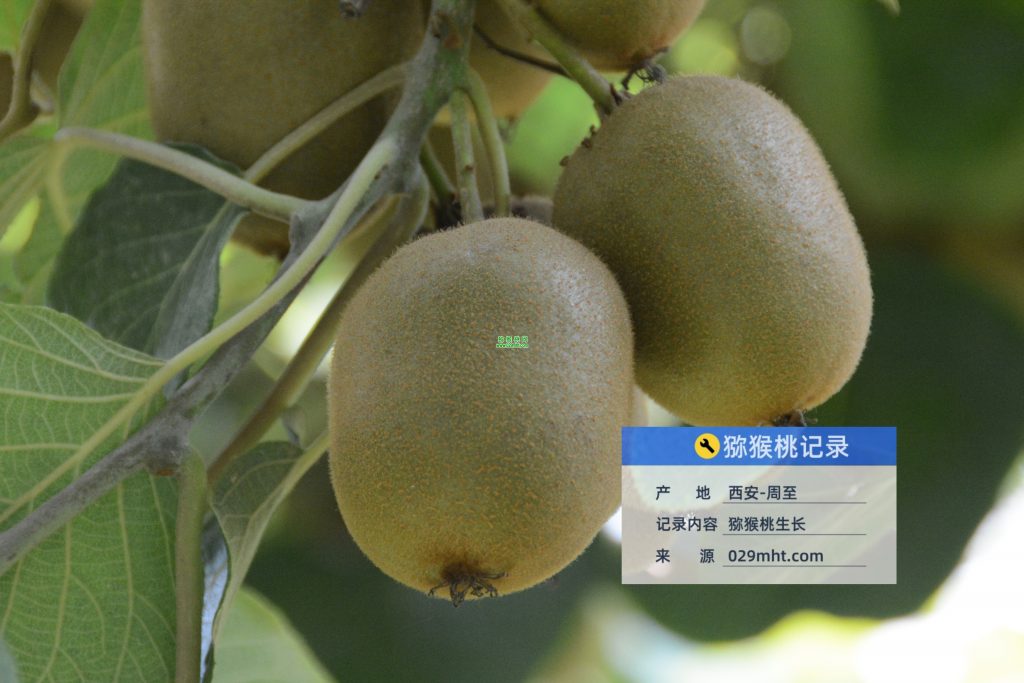 PG国际官方网站图片