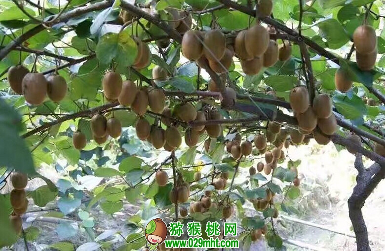 PG国际官方网站图片