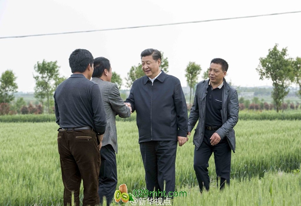 PG国际官方网站图片