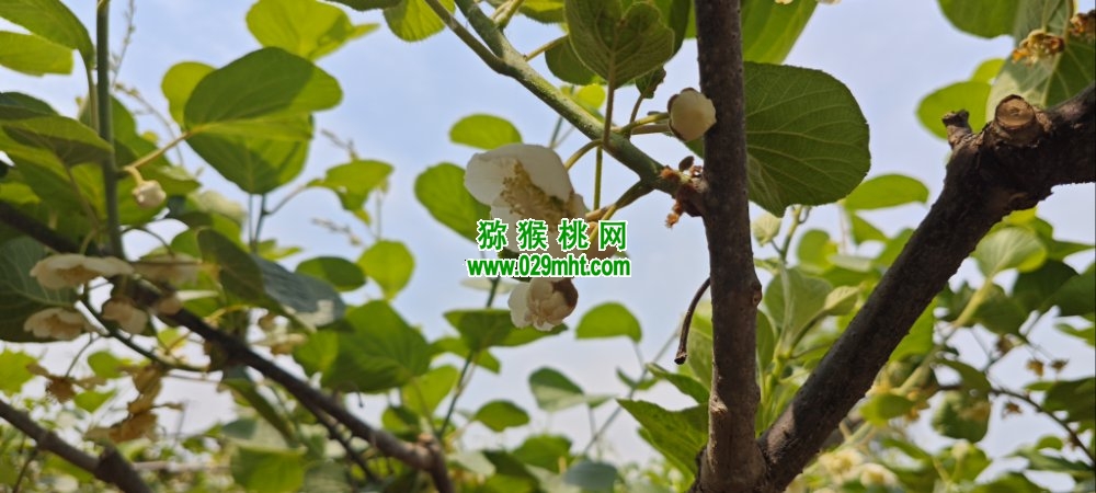 PG国际 dfe61
