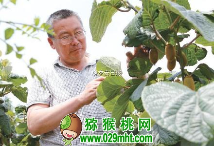 PG国际官方网站图片